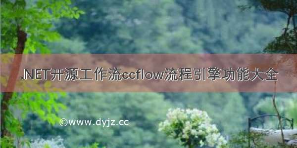 .NET开源工作流ccflow流程引擎功能大全