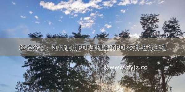 经验分享：如何使用PDF压缩器将PDF文件进行压缩