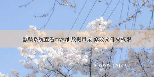 麒麟系统查看mysql 数据目录 修改文件夹权限