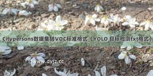 Citypersons数据集转VOC标准格式（YOLO 目标检测txt格式）