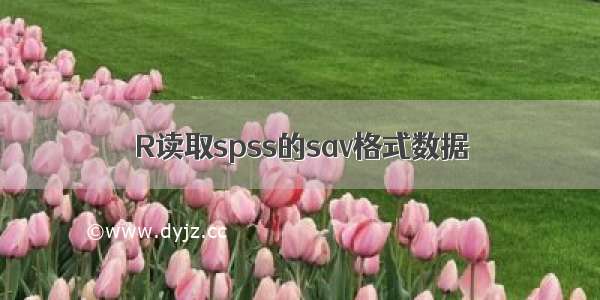 R读取spss的sav格式数据