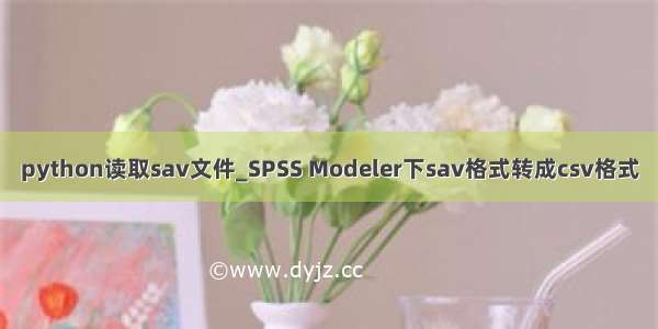 python读取sav文件_SPSS Modeler下sav格式转成csv格式