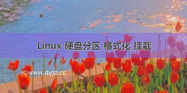 Linux 硬盘分区 格式化 挂载