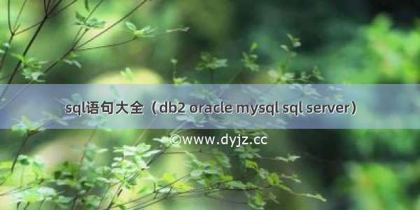 sql语句大全（db2 oracle mysql sql server）