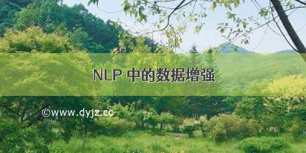 NLP 中的数据增强