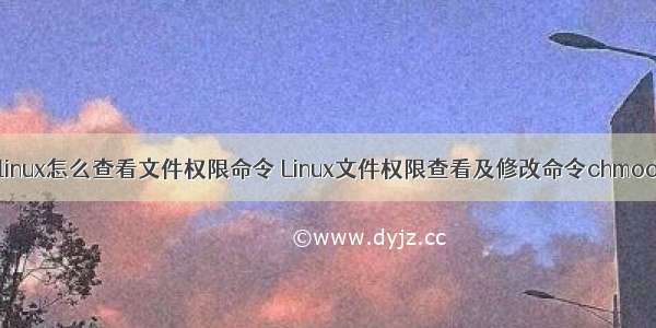 linux怎么查看文件权限命令 Linux文件权限查看及修改命令chmod