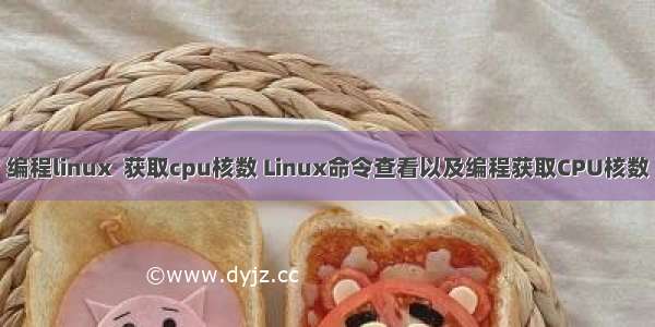 编程linux  获取cpu核数 Linux命令查看以及编程获取CPU核数