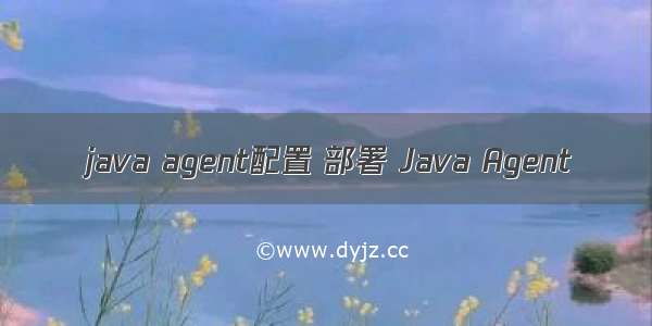 java agent配置 部署 Java Agent