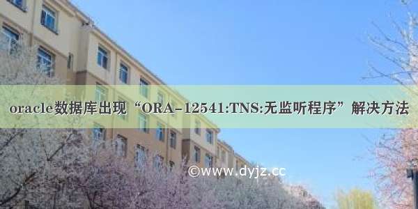 oracle数据库出现“ORA-12541:TNS:无监听程序”解决方法