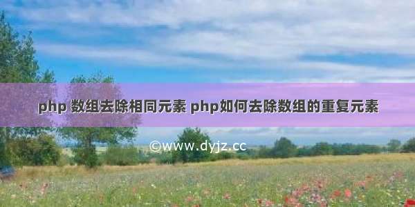 php 数组去除相同元素 php如何去除数组的重复元素