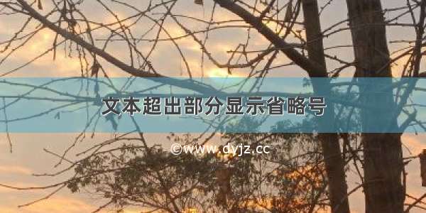 文本超出部分显示省略号