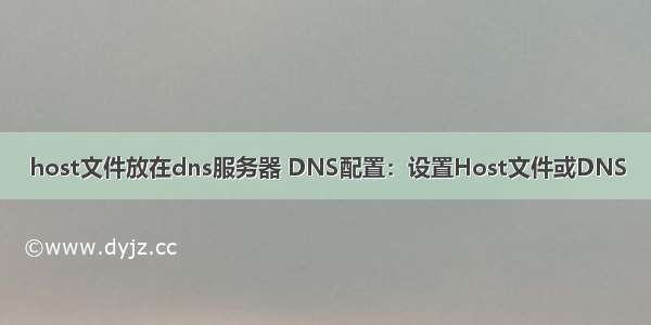 host文件放在dns服务器 DNS配置：设置Host文件或DNS