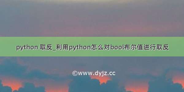 python 取反_利用python怎么对bool布尔值进行取反