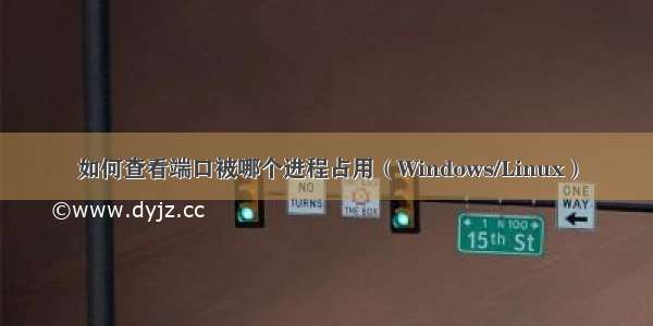 如何查看端口被哪个进程占用（Windows/Linux）