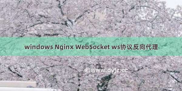 windows Nginx WebSocket ws协议反向代理