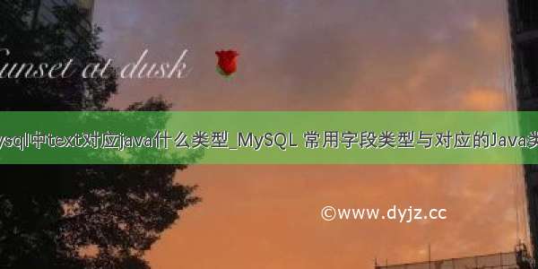 mysql中text对应java什么类型_MySQL 常用字段类型与对应的Java类型