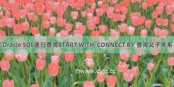 Oracle SQL递归查询START WITH  CONNECT BY 查询父子关系