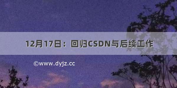 12月17日：回归CSDN与后续工作