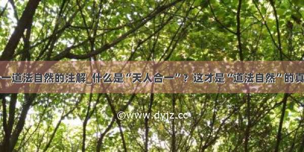 天人合一道法自然的注解_什么是“天人合一”？这才是“道法自然”的真谛！...