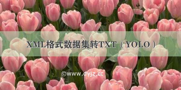 XML格式数据集转TXT（YOLO）