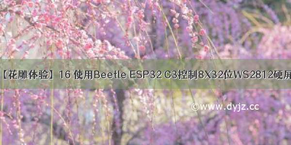 【花雕体验】16 使用Beetle ESP32 C3控制8X32位WS2812硬屏