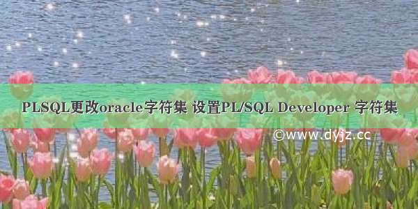 PLSQL更改oracle字符集 设置PL/SQL Developer 字符集