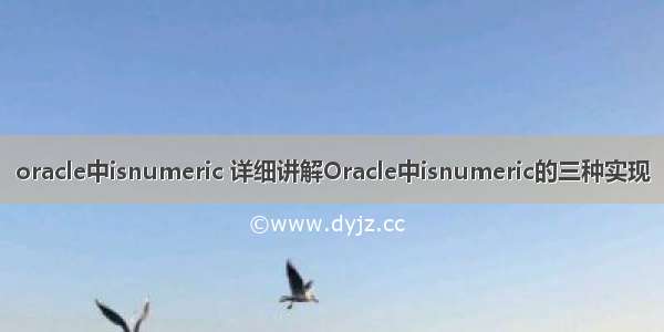 oracle中isnumeric 详细讲解Oracle中isnumeric的三种实现