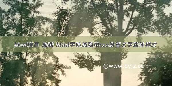 html语言 加粗 html字体加粗用css设置文字粗体样式