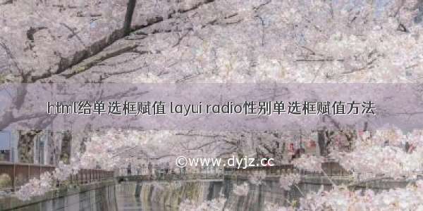 html给单选框赋值 layui radio性别单选框赋值方法