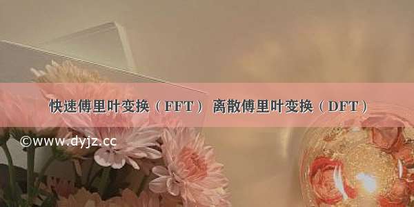 快速傅里叶变换（FFT） 离散傅里叶变换（DFT）