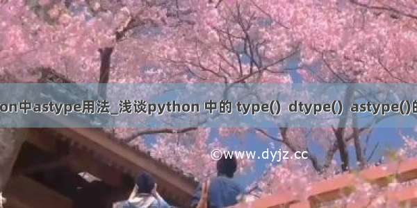 python中astype用法_浅谈python 中的 type()  dtype()  astype()的区别