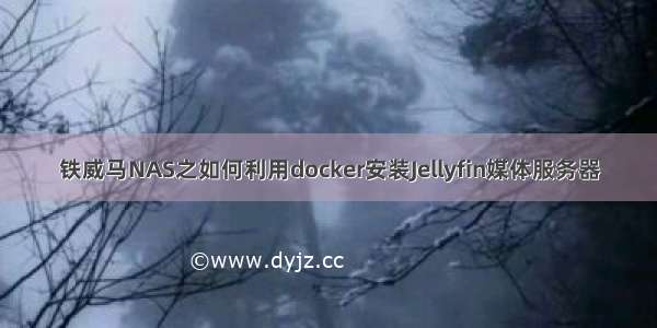 铁威马NAS之如何利用docker安装Jellyfin媒体服务器