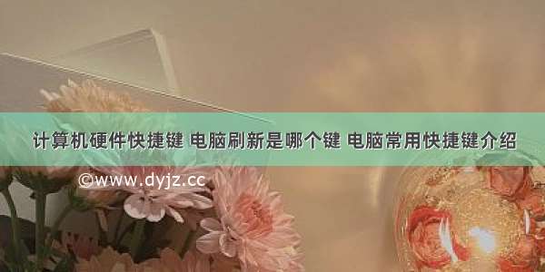 计算机硬件快捷键 电脑刷新是哪个键 电脑常用快捷键介绍