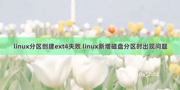 linux分区创建ext4失败 linux新增磁盘分区时出现问题