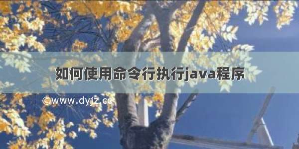 如何使用命令行执行java程序