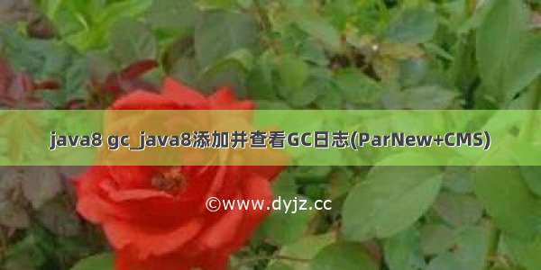 java8 gc_java8添加并查看GC日志(ParNew+CMS)