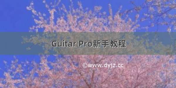 Guitar Pro新手教程