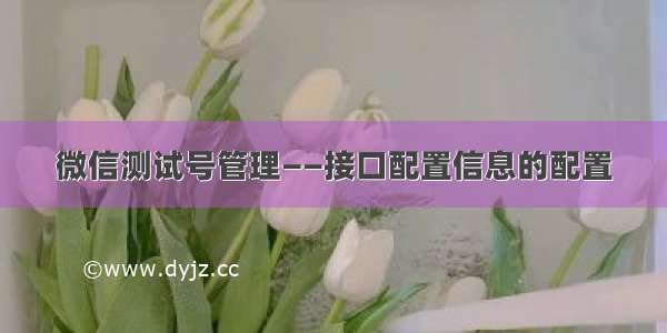 微信测试号管理——接口配置信息的配置