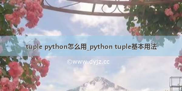 tuple python怎么用_python tuple基本用法