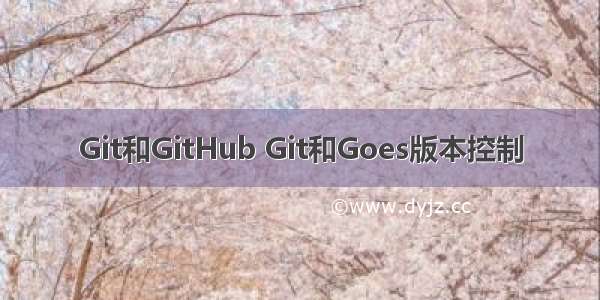 Git和GitHub Git和Goes版本控制