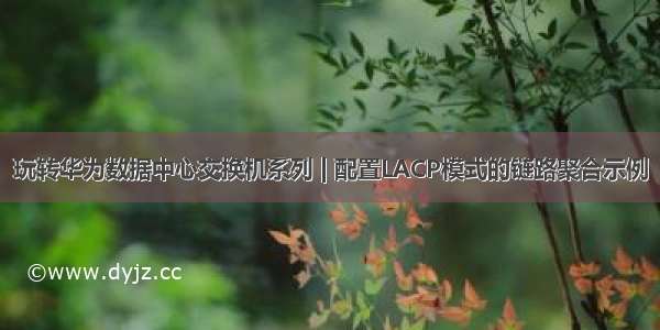 玩转华为数据中心交换机系列 | 配置LACP模式的链路聚合示例