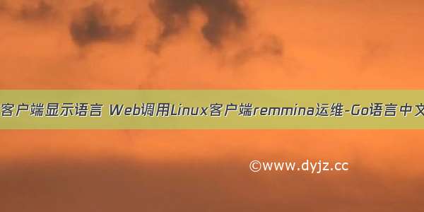 linux 客户端显示语言 Web调用Linux客户端remmina运维-Go语言中文社区