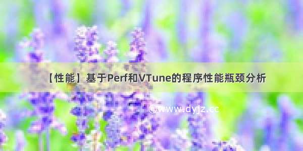 【性能】基于Perf和VTune的程序性能瓶颈分析