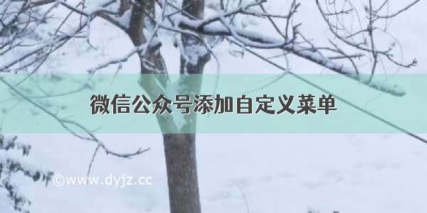 微信公众号添加自定义菜单