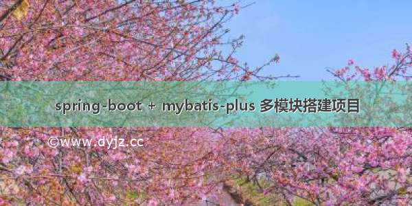 spring-boot + mybatis-plus 多模块搭建项目