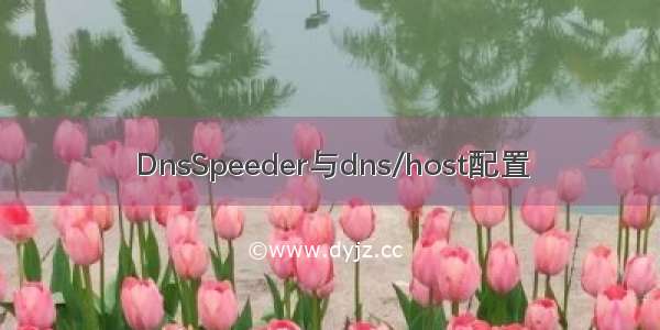 DnsSpeeder与dns/host配置