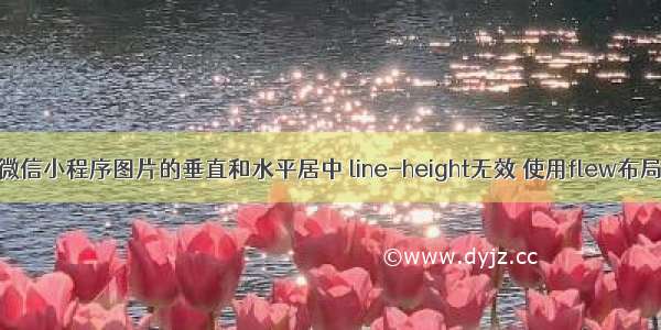 微信小程序图片的垂直和水平居中 line-height无效 使用flew布局