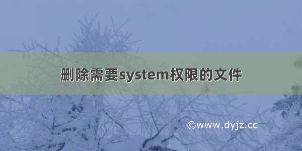 删除需要system权限的文件