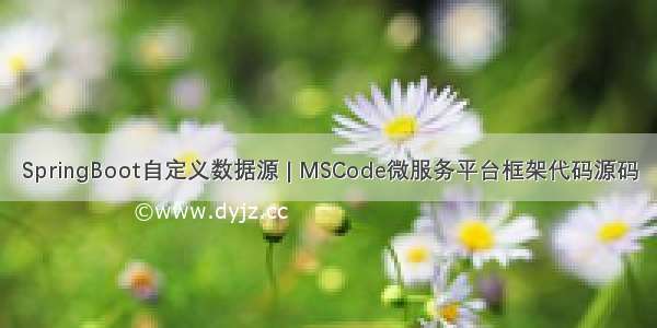 SpringBoot自定义数据源 | MSCode微服务平台框架代码源码