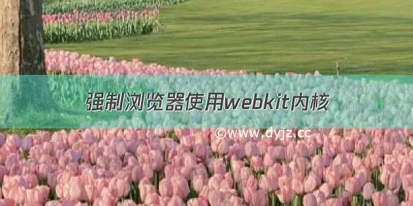 强制浏览器使用webkit内核